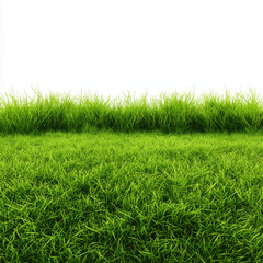 Obraz premium Vibrant Green Grass Field Background Image , PNG isolated cut out image