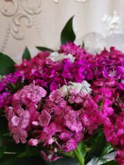 Bright pink carnation bouquet in interior