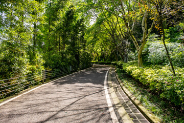 Obraz premium Chongqing Garden Expo Park is a thoughtfully designed combination of ecological restoration, cultural exhibit, and horticultural artistry, Yubei District Longjing Lake