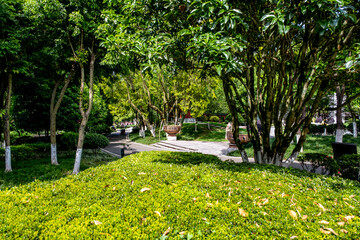 Chongqing Garden Expo Park is a thoughtfully designed combination of ecological restoration,...
