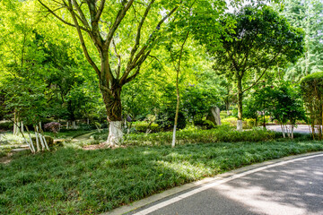 Chongqing Garden Expo Park is a thoughtfully designed combination of ecological restoration,...