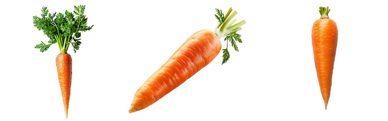 Set of a carrot