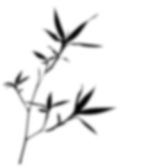 Black silhouette of a blurry Lucky Bamboo tree branch with leaves in a simple nature style.