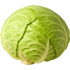 Fototapeta premium Fresh cabbage grown in fertile soil