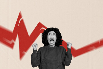 Zine banner full photo collage of angry businesswoman scream graph statistics inflation problem...