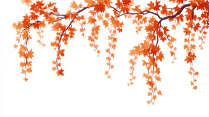 Orange and burgundy autumn vines with minimal falling leaves on white background