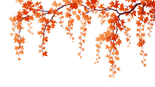 Orange and burgundy autumn vines with minimal falling leaves on white background