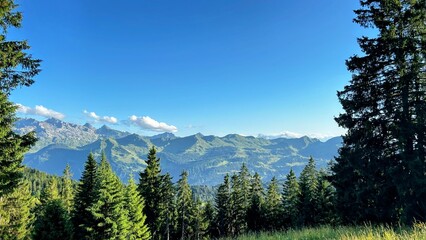 Summer hike in the Swiss Alps 