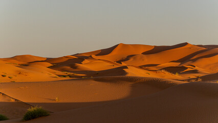 Erg Chebbi