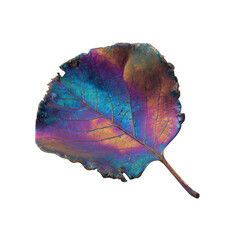 Iridescent Leaf - Abstract Nature Photography