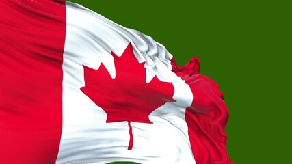 flag of canada. close up of canadian flag blowing in the wind . canadian flag loop. green screen