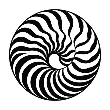 Abstract black and white nautilus shell pattern with swirling lines