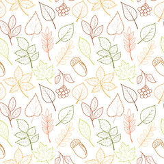 Seamless pattern with hand drawn colorful autumn leaves, berries and acorns, doodles. Collection of maple, oak, birch, rowan, chestnut. Vector pattern of foliage outline.