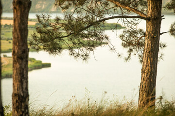 Obraz premium beautiful summer landscape with nature of the republic of Moldova. rural life in eastern Europe