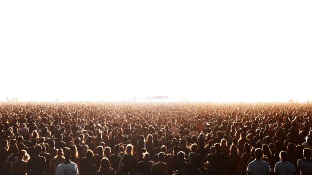 A wide shot of the Tomorrowland crowd