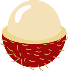 Rambutan illustration