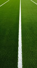 Obraz premium well-maintained green grass field with a thick white line running horizontally across the center. Thick horizontal white painted line is running across green grass turf in flat vector illustration