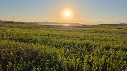 a beautiful sunset over the field in summer