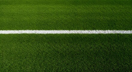 Fototapeta premium a green grass field with a thick white line running horizontally across the center. wallpaper, Thick horizontal white painted line is running across green grass turf in flat vector illustration