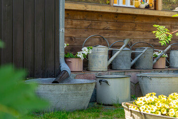 row of old galvanized metal watering cans and tubs placed against a wooden wall, with flower pots...