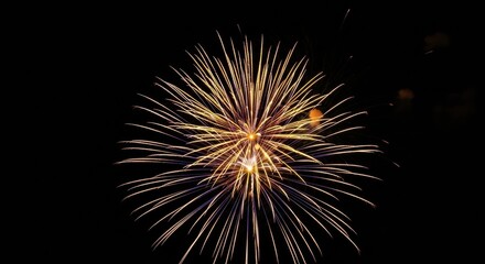 Fototapeta premium Isolated Golden Firework Burst in the Black Night Sky