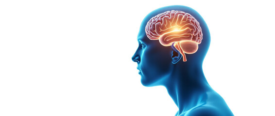 Reflective Intelligence - Observing Thought