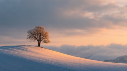 Serene winter landscape with single leafless tree on snow covered hill at sunset.