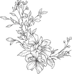 Hand drawn black and white floral lineart featuring delicate blossoms and flowing leaves perfect for botanical themes, minimalist designs, or nature inspired compositions
