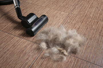 Many of dog or cats hair on the tiled floor with a vacuum cleaner in the background.