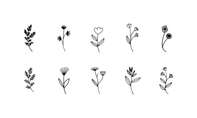 Tall Flower Silhouettes. Bold black silhouettes of tall wildflowers with expressive leaf shapes and layered heights.