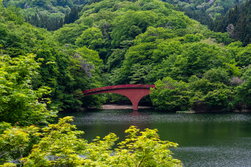 碓氷湖・坂本ダム夢のせ橋