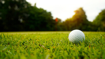 Golf clubs and balls on a green lawn in a beautiful golf course with morning sunshine.