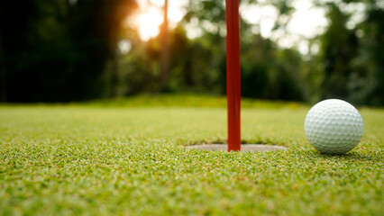 Golf ball on green grass in the evening golf course with sunshine background.