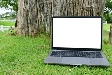 A laptop is sitting on the grass next to a tree. The laptop is open and the screen is blank. The scene is peaceful and serene