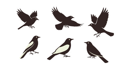 Obraz premium Birds in different poses and angles, black silhouettes on white background 