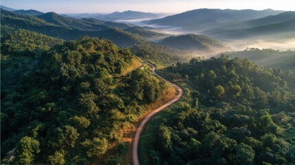 Lush Green Mountain Landscape with Winding Road During Sunrise in Dense Forest.