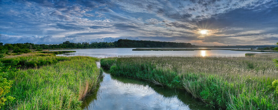 Boddenlandschaft am Morgen (R&uuml;gen)