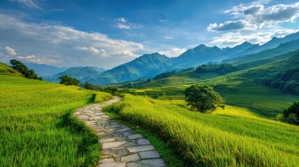 Fototapeta premium Scenic mountain landscape with lush green fields and a stone pathway under a partly cloudy sky.