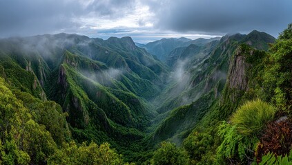 Lush valley shrouded in mist, mountain peaks