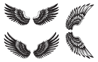 Vector Black Angel and Bird Wings Illustration Set