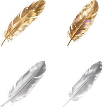 羽　鳥　金　銀　イラスト　素材