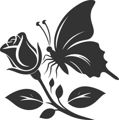 Vector of a butterfly 