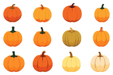 Pumpkin set. Set of pumpkins of different colors and shapes for design. Vector illustration collection of ripe pumpkins for design and printing. Autumn harvest.