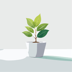 Obraz premium single plant in a pot on a clean surface with soft shadows