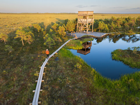 Aerial drone view: a woman walks along a wooden boardwalk, and a child sits by the observation tower in a picturesque Estonian bog at sunset.