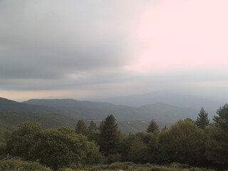 Obraz premium Misty Mountain Veil