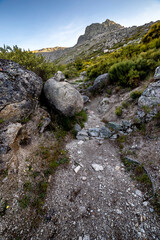 Senda del Pueerto del Arenal