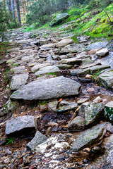 Camino empedrado