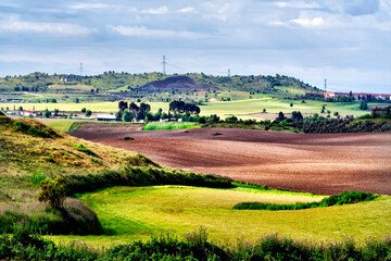 Campos de Pinto en primavera