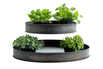Verdant Visions A Two Tiered Display of Thriving Herbs Evoking Freshness and Rustic Charm on Black